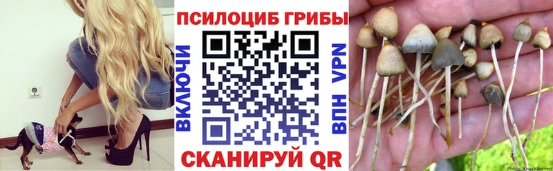 где купить наркотик  omg ONION  площадка наркотические препараты  Ардон  Псилоцибиновые грибы мицелий 